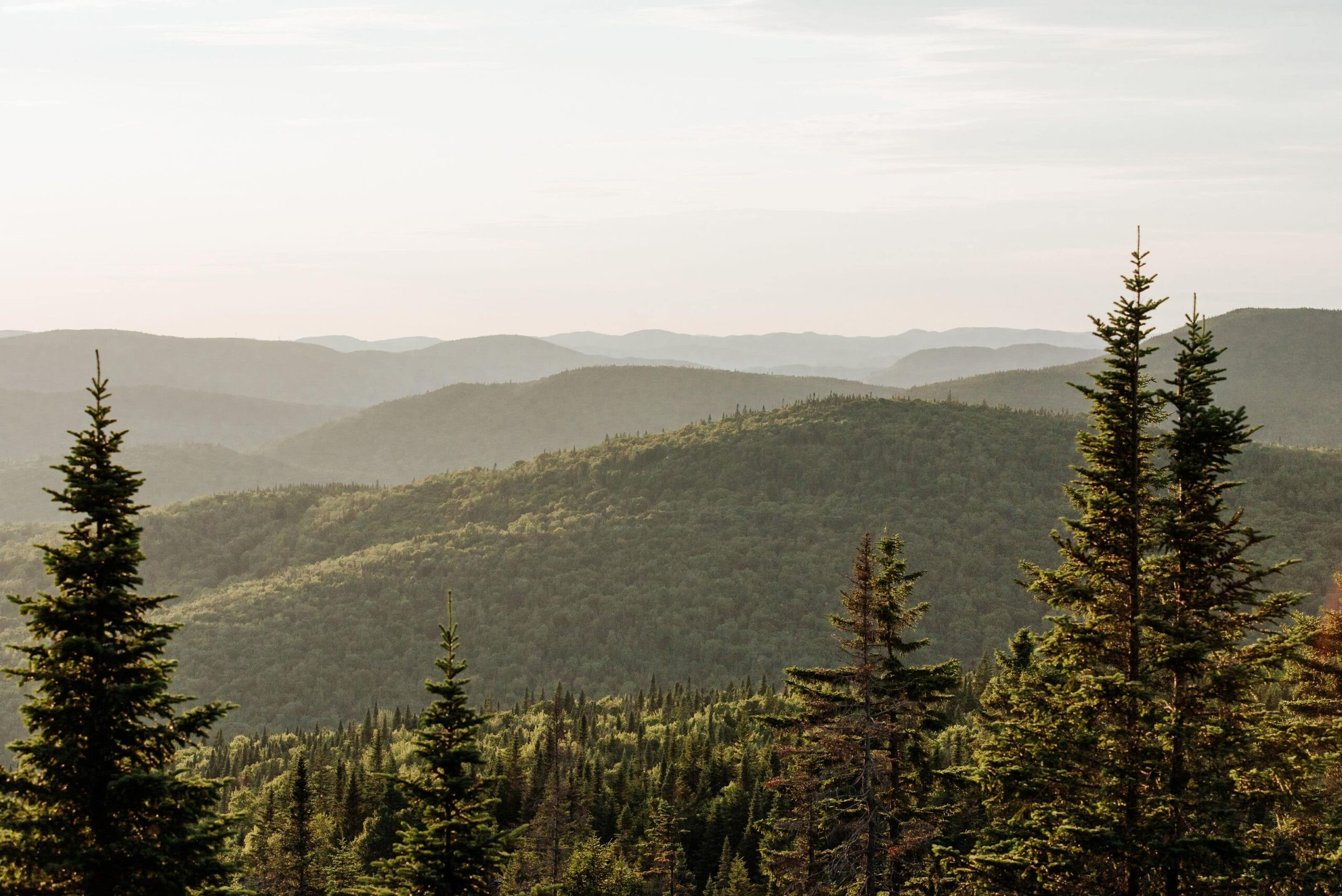 An Off-Grid Sunset Elopement in the Mountains of Québec – photo 12