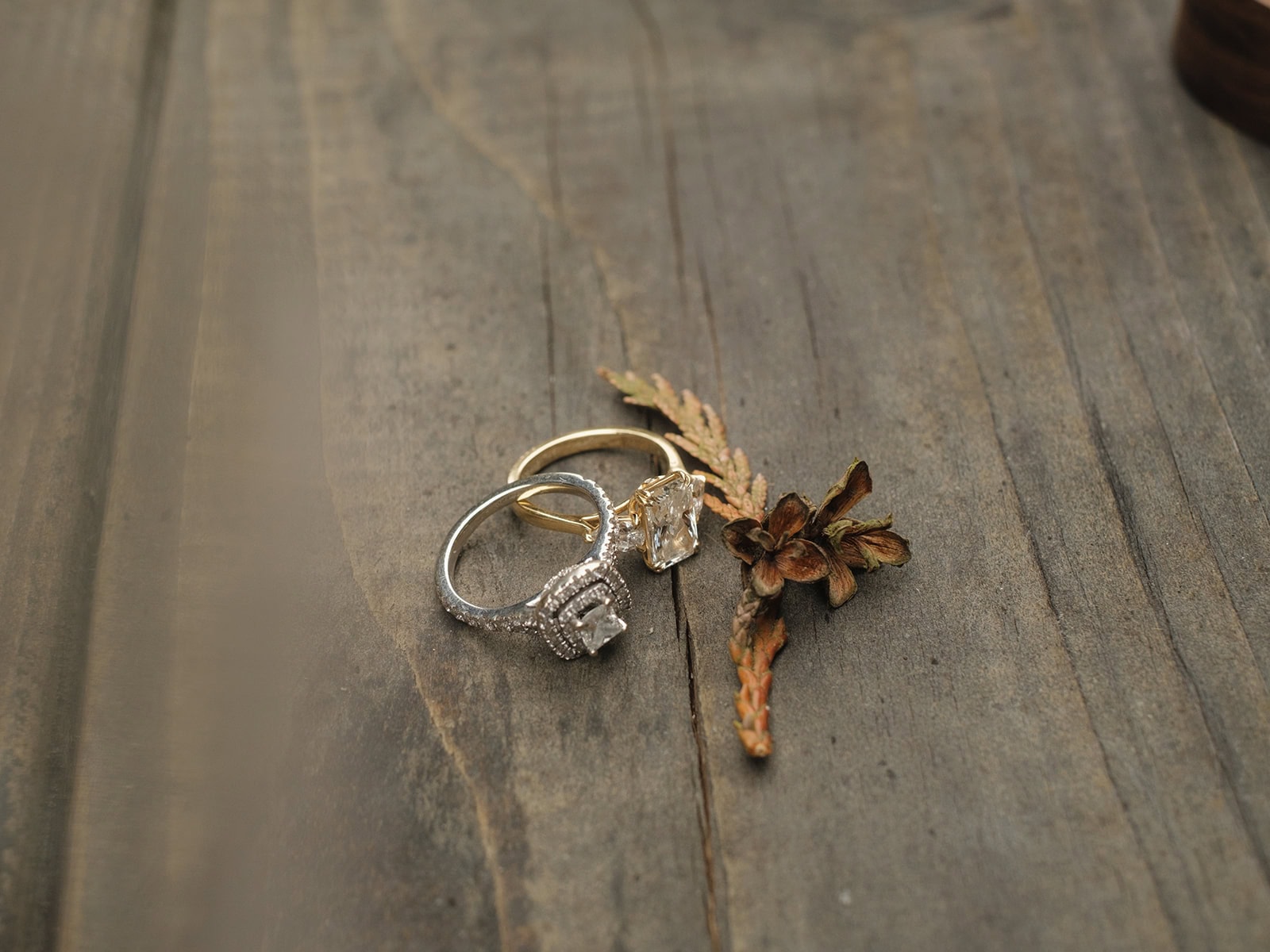 Muddy Dresses and Coastal Cabins: A Port Angeles Beach Elopement – photo 6