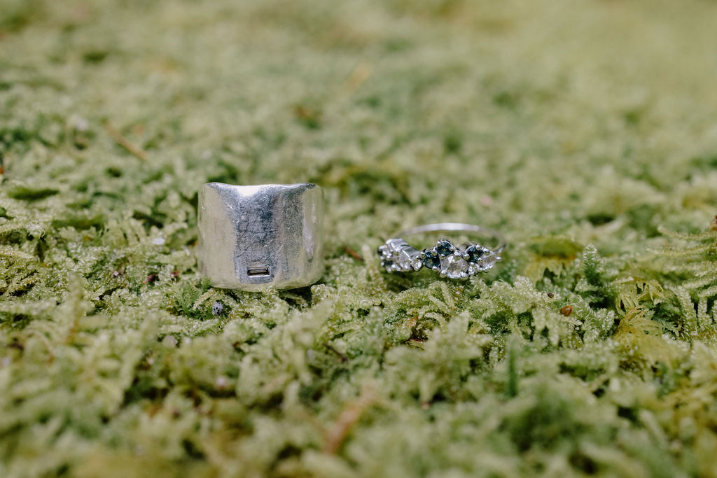 Intimate Garden Wedding at a Family Home in Cashiers โ photo 4