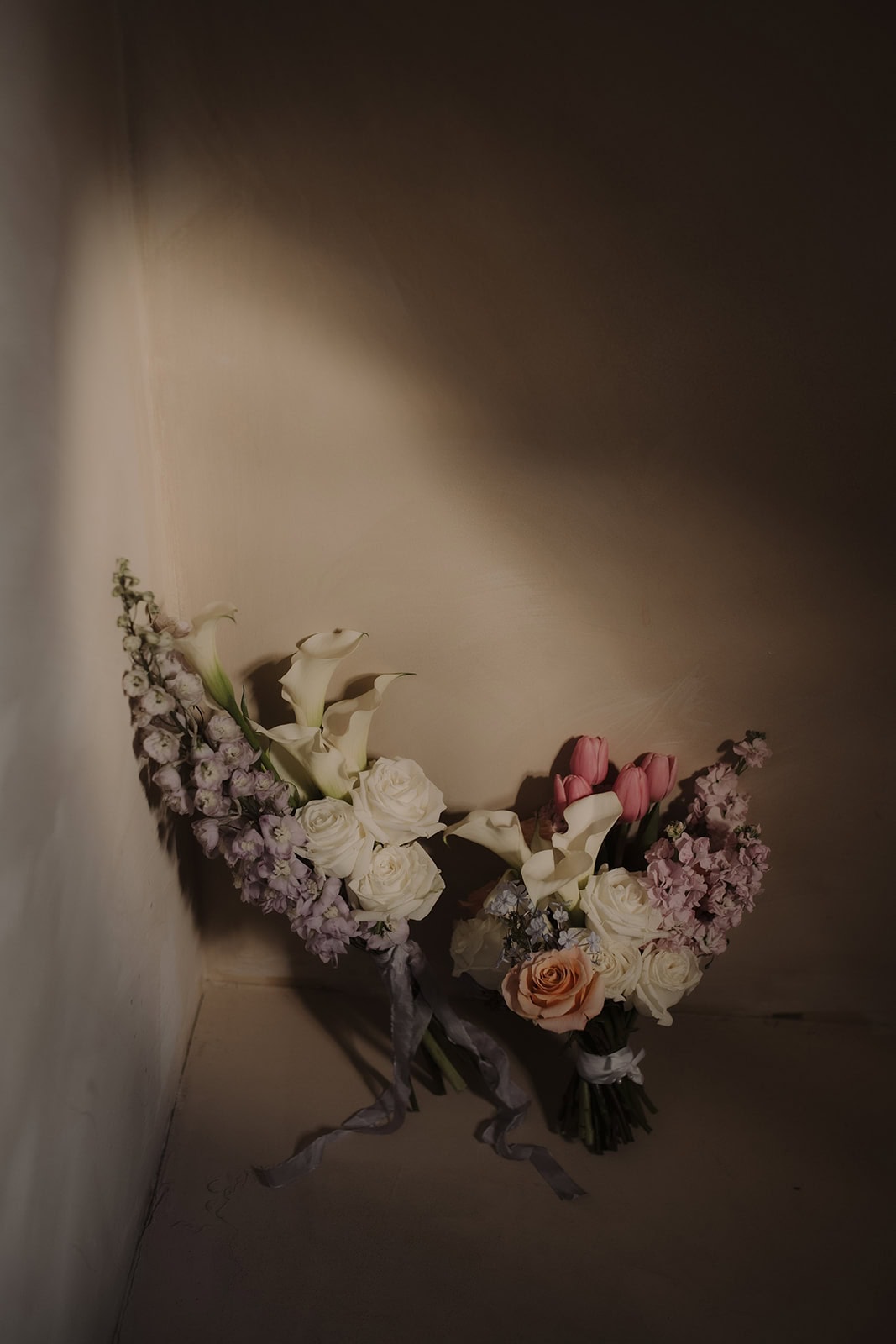 A Tasmania Elopement with Tree Ferns, Trivia, and Coastal Views – photo 3