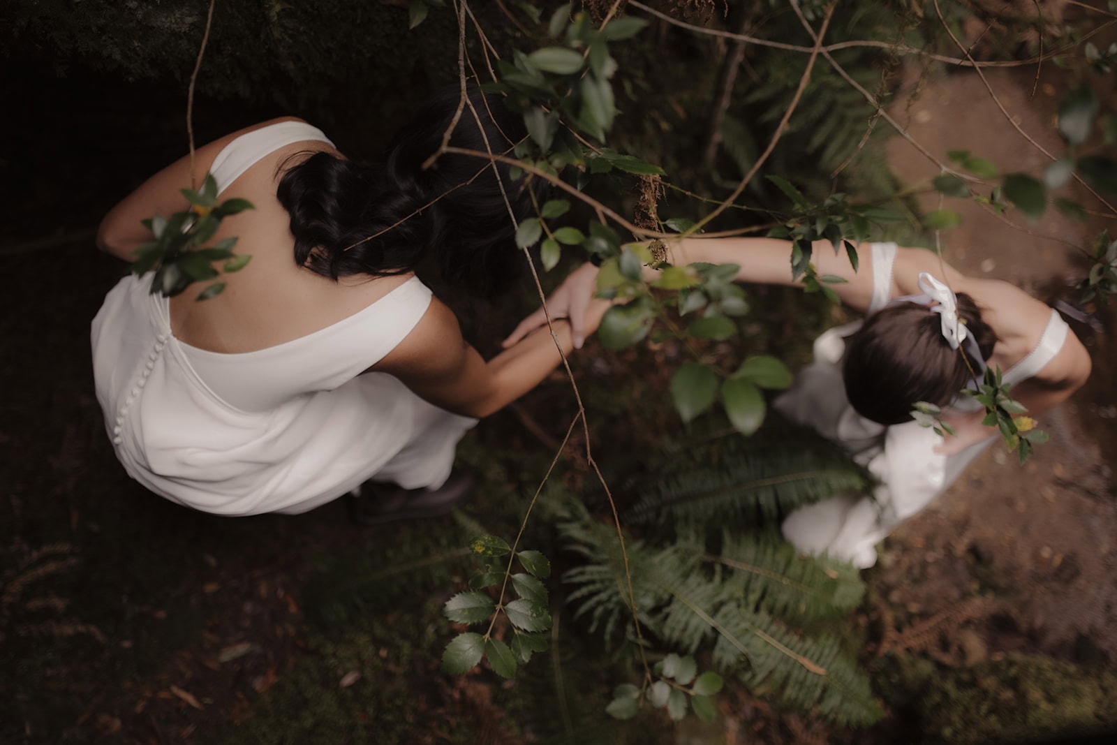 A Tasmania Elopement with Tree Ferns, Trivia, and Coastal Views – photo 16