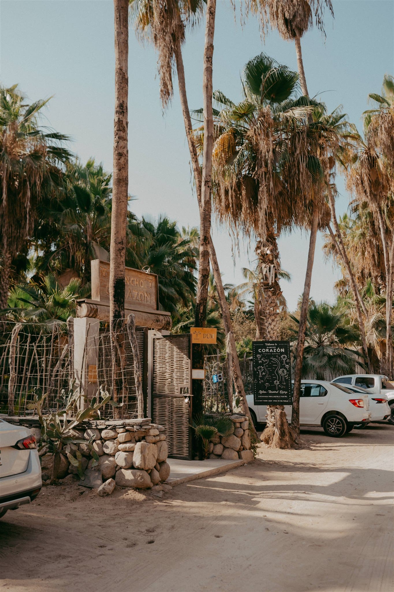 A Desert Disco Wedding at Rancho Corazon in Todos Santos – photo 19