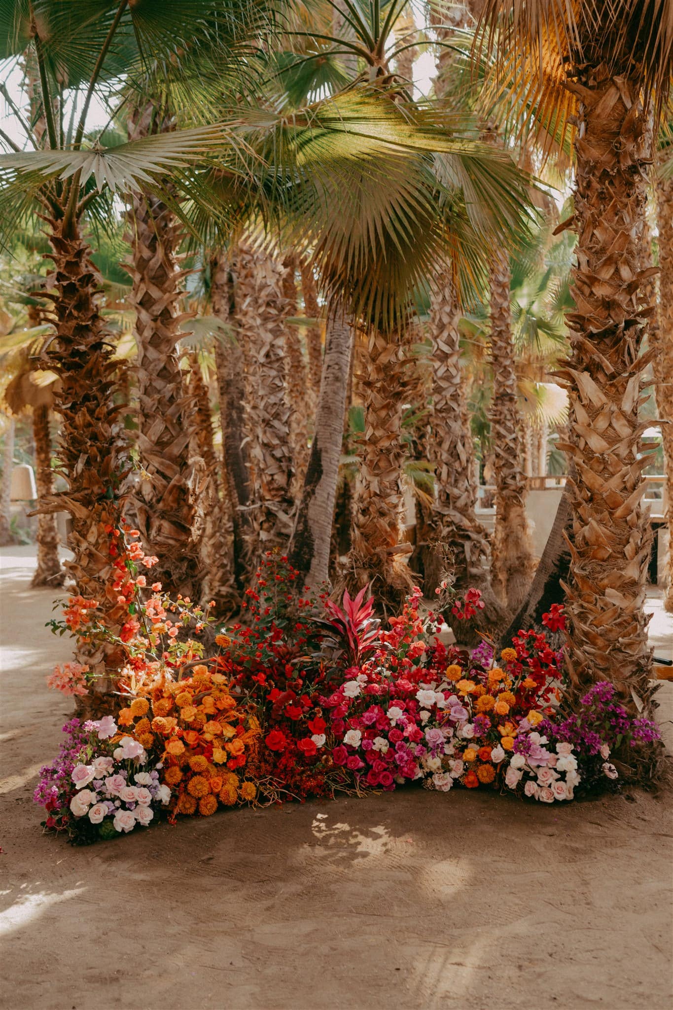 A Desert Disco Wedding at Rancho Corazon in Todos Santos – photo 20