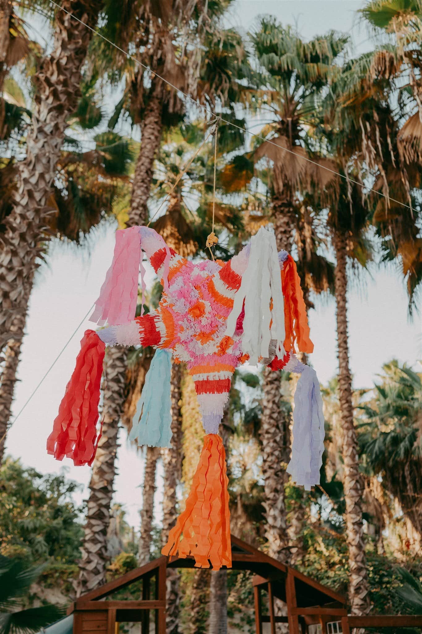 A Desert Disco Wedding at Rancho Corazon in Todos Santos – photo 38