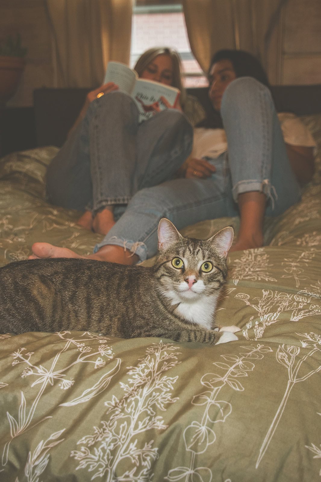 Missouri River Hike, Home Vows, and Pets: A Queer Engagement Story – photo 10