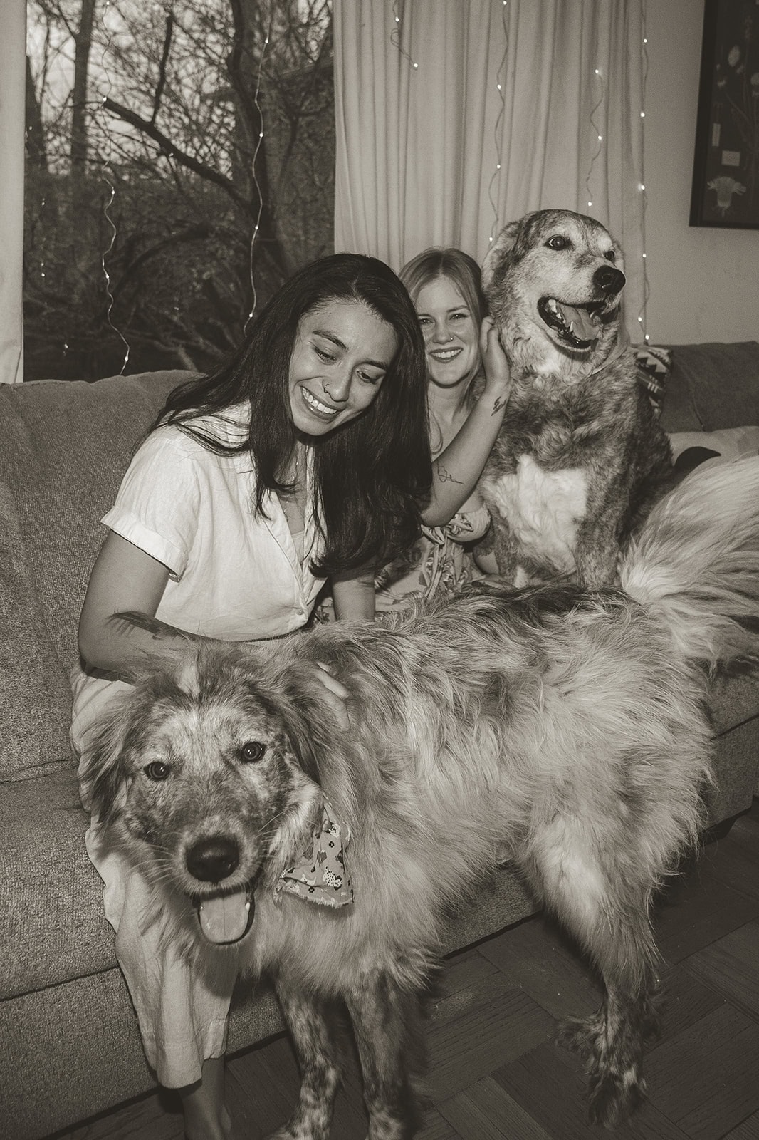Missouri River Hike, Home Vows, and Pets: A Queer Engagement Story – photo 12