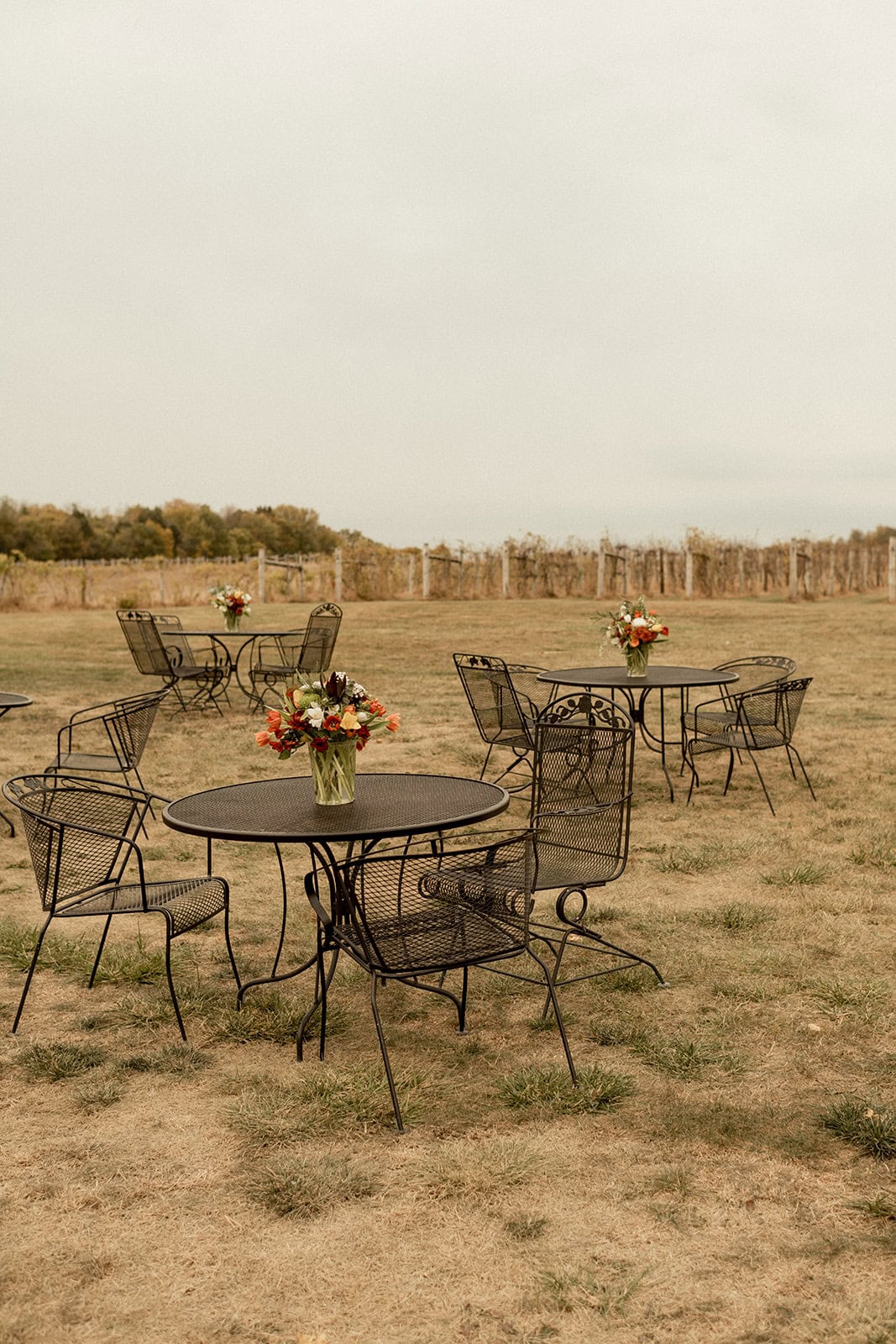 A Lord of the Rings Inspired Wedding at an Iowa Vineyard