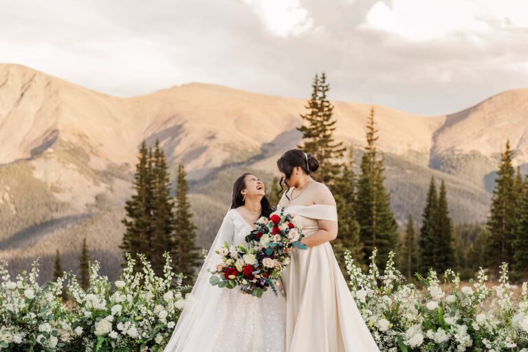 Colorado Mountain I Dos with Wide Scenic Views