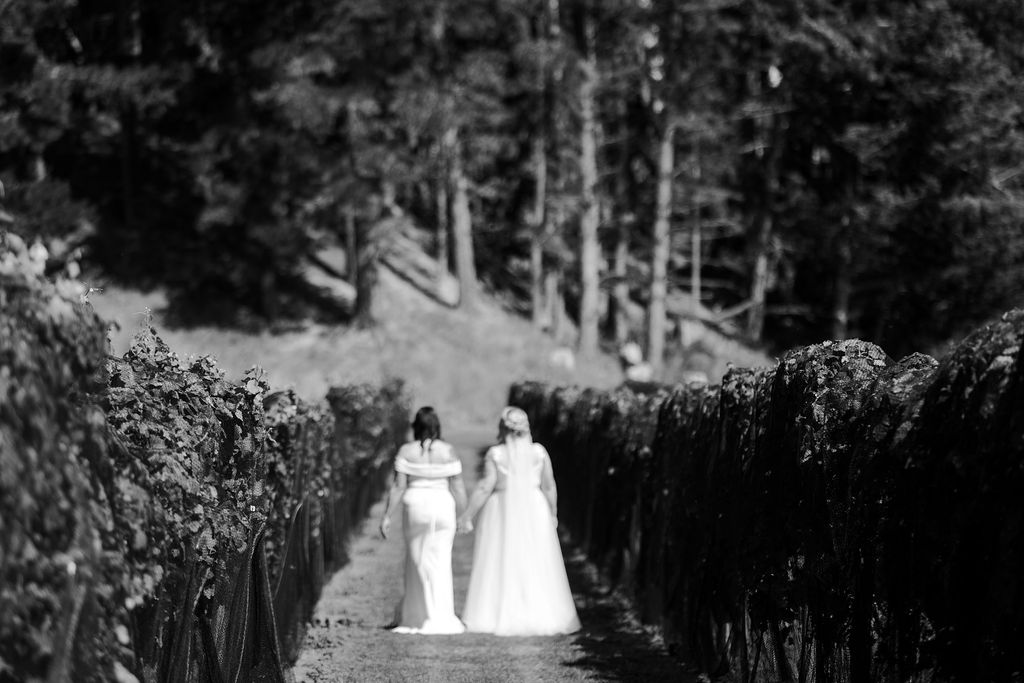 A North Canterbury Elopement Set Among the Vines – photo 6