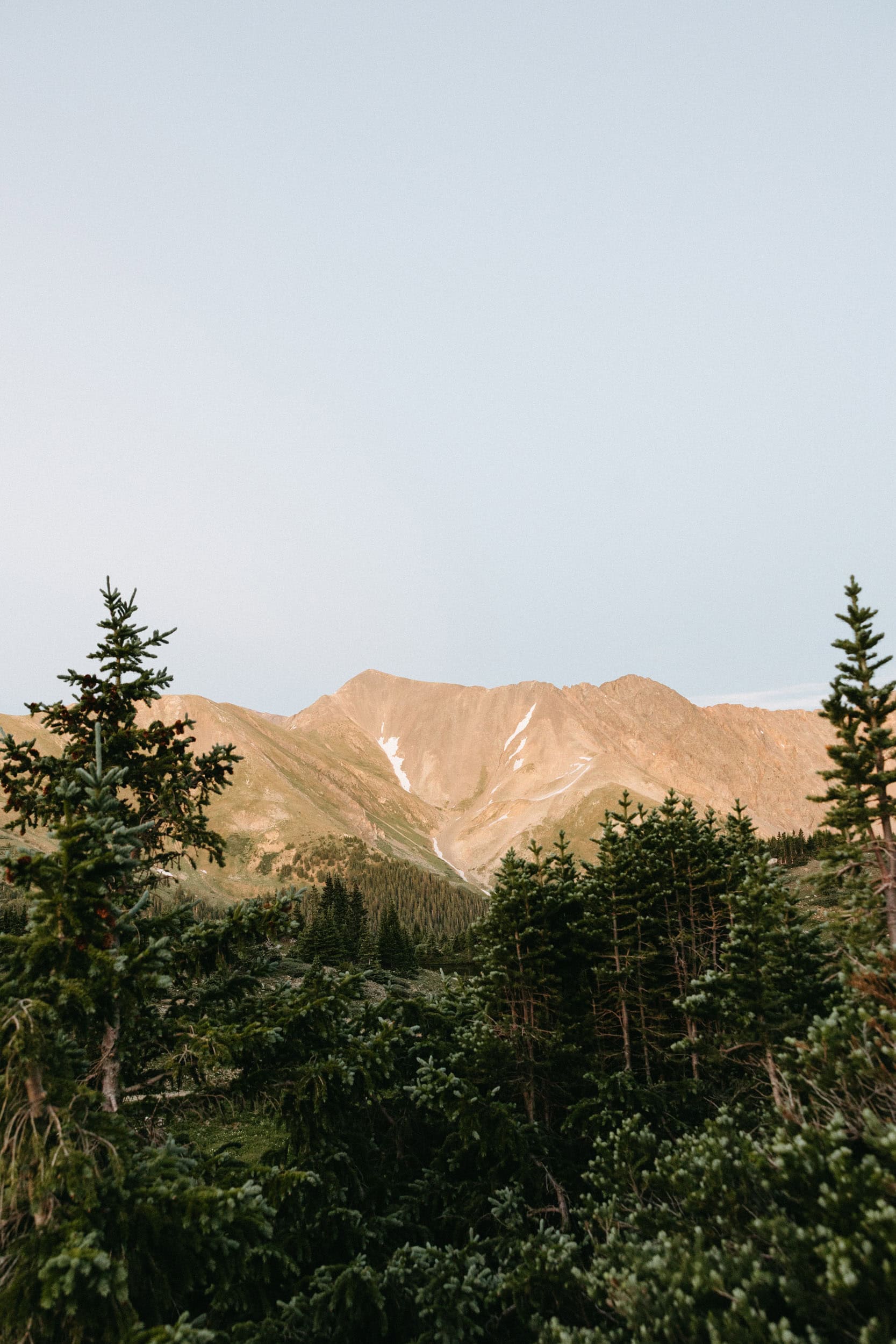 Cats, Quilts, and Champagne: A Breckenridge Elopement โ photo 18