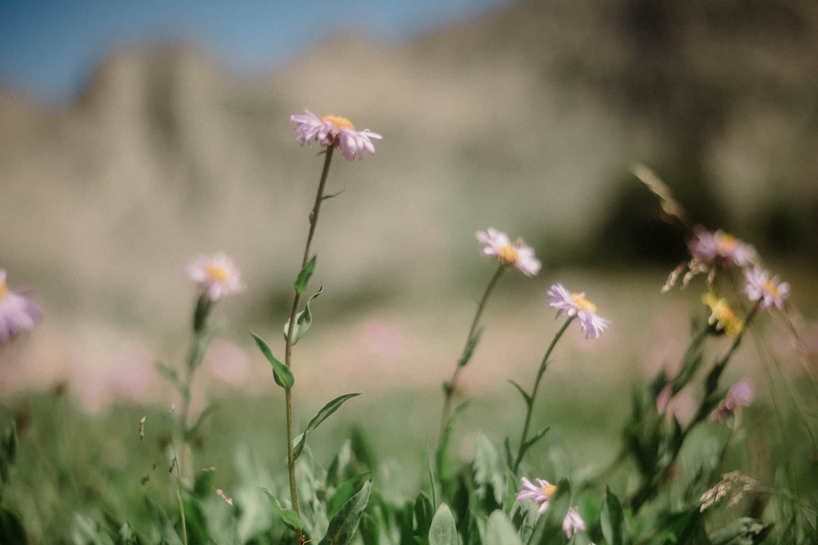 A Cozy Big Sky Hiking Engagement by Honeybee Weddings โ photo 9