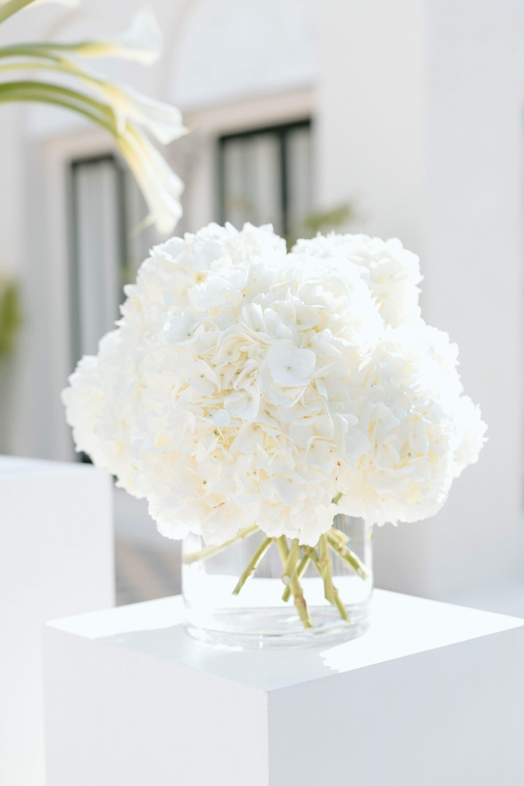 A Timeless Wedding at The Alderman House in Fort Myers โ photo 5