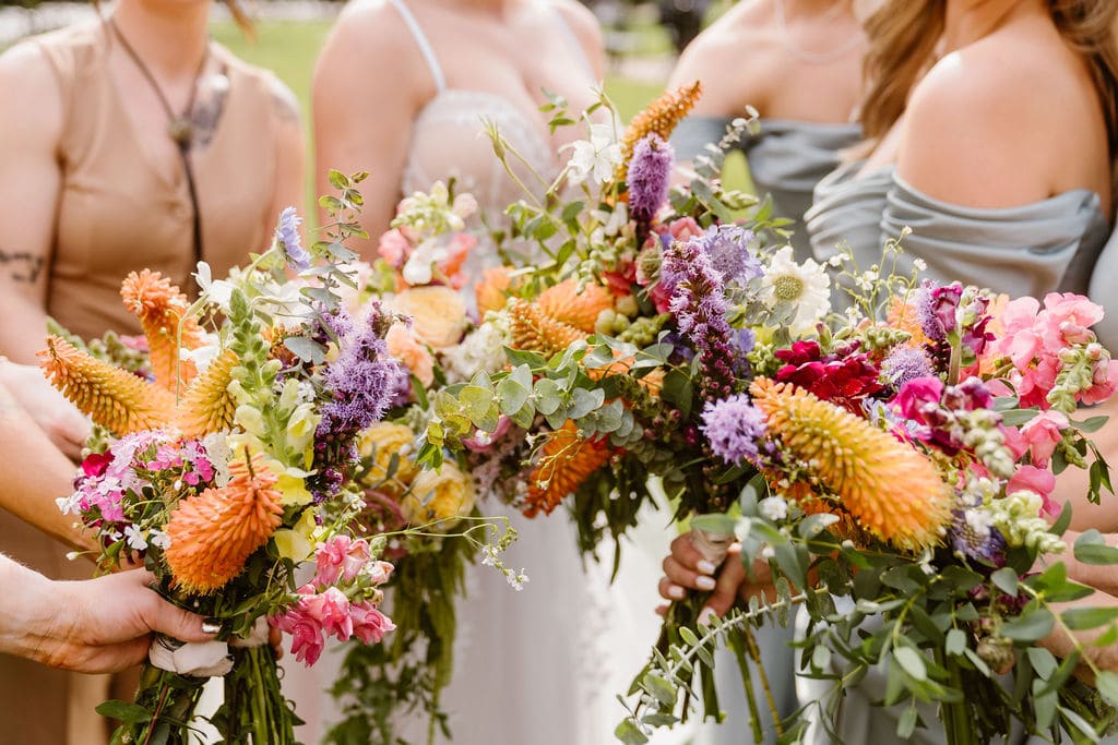 Drink Donkeys, Champagne, and a Colorado Wedding โ photo 13