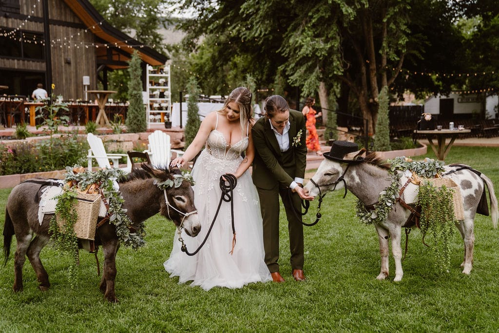 Drink Donkeys, Champagne, and a Colorado Wedding